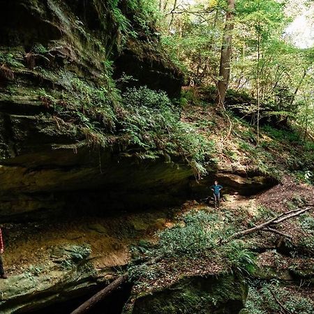 Dunlap Hollow A-Frame Rockbridge المظهر الخارجي الصورة