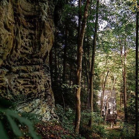 Dunlap Hollow A-Frame Rockbridge المظهر الخارجي الصورة