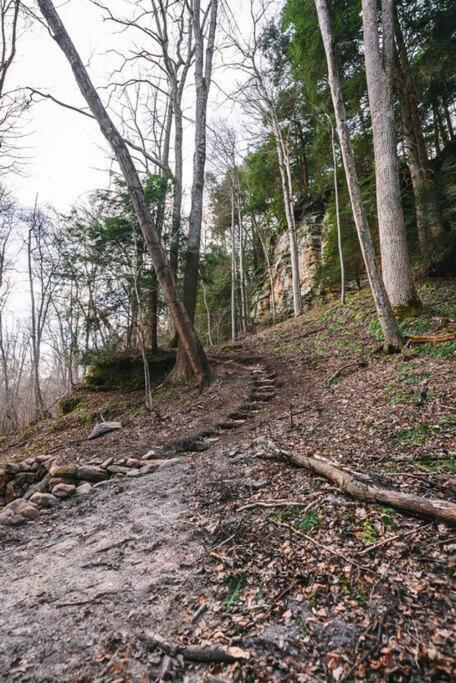 Dunlap Hollow A-Frame Rockbridge المظهر الخارجي الصورة