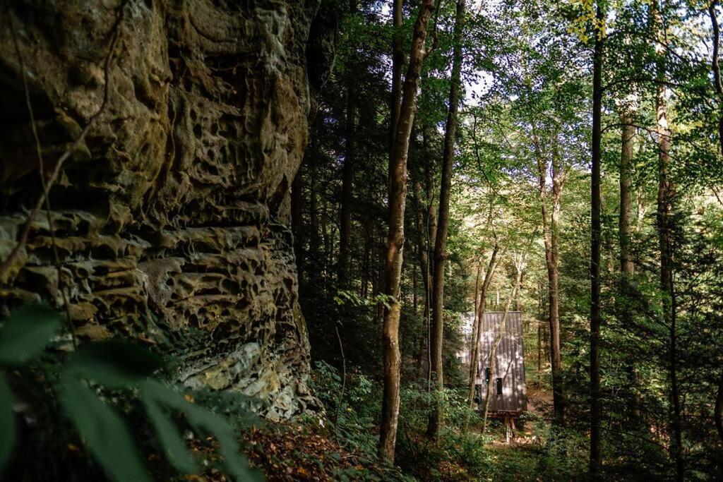 Dunlap Hollow A-Frame Rockbridge المظهر الخارجي الصورة
