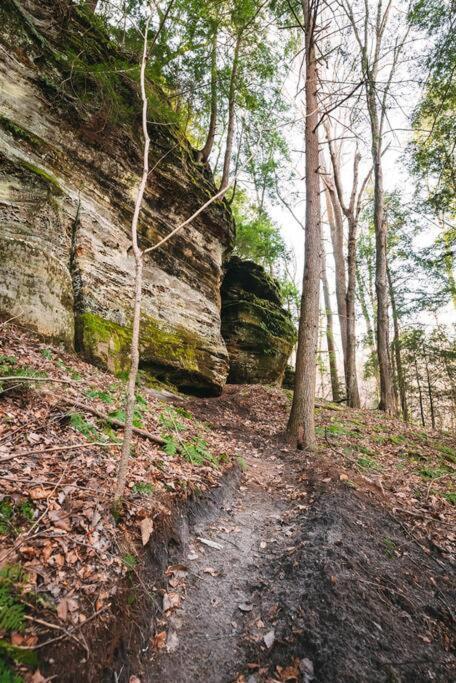 Dunlap Hollow A-Frame Rockbridge المظهر الخارجي الصورة