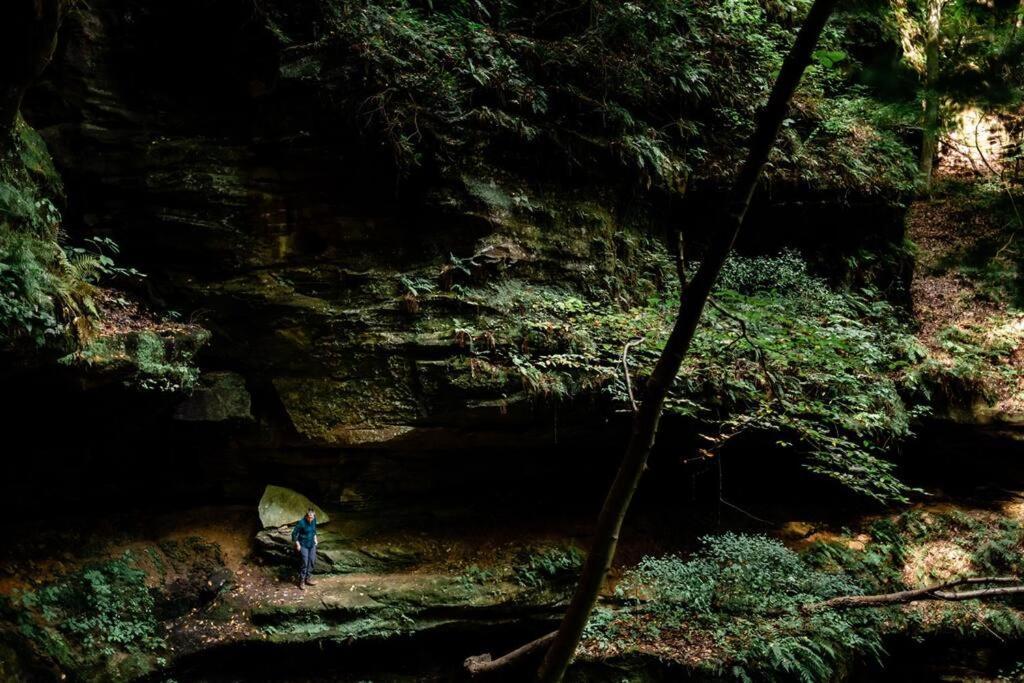 Dunlap Hollow A-Frame Rockbridge المظهر الخارجي الصورة