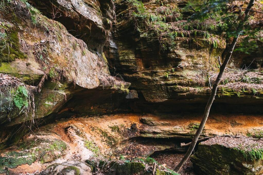 Dunlap Hollow A-Frame Rockbridge المظهر الخارجي الصورة