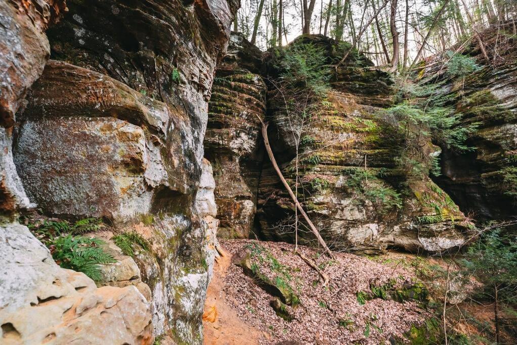 Dunlap Hollow A-Frame Rockbridge المظهر الخارجي الصورة